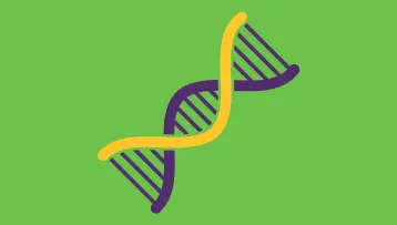 Beyond the Genes: Unravelling the Complex Biology and Variable Realities of Tuberous Sclerosis Complex