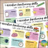 Empowering the Modern Classroom: Why Every Educator is a Teacher of Executive Functioning Skills