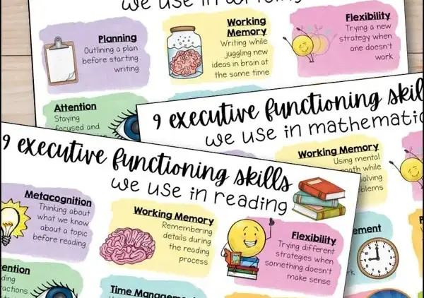 Empowering the Modern Classroom: Why Every Educator is a Teacher of Executive Functioning Skills