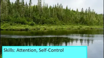 Integrating the Great Outdoors into Education: How Nature Can Foster Executive Functioning Skills in Children and Teens