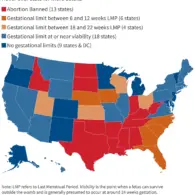 U.S. Abortion Rates Reach Over One Million in 2025 Despite Expanding State Restrictions and Bans, New Data Shows