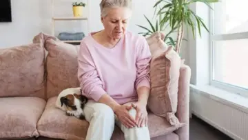 Yale Preclinical Study Reveals Epilepsy Drug Delivered via Hydrogel Could Reverse Osteoarthritis and Relieve Joint Pain