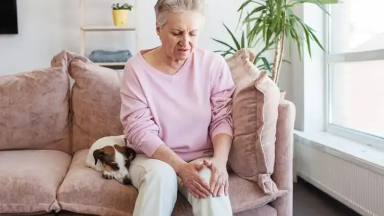 Yale Preclinical Study Reveals Epilepsy Drug Delivered via Hydrogel Could Reverse Osteoarthritis and Relieve Joint Pain