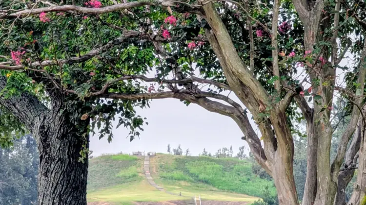 Poverty Point World Heritage Site Offers Strong Indoor Accessibility and Guided Tram Tours, Though Outdoor Paving and Facilities Present Challenges